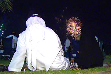 UAE divided on national day