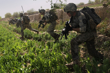 robert grenier - wikileaks video