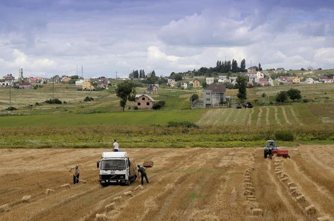 Ukraine's ample fields of rich black soil allow for high production volumes of cereals and grain [AP]
