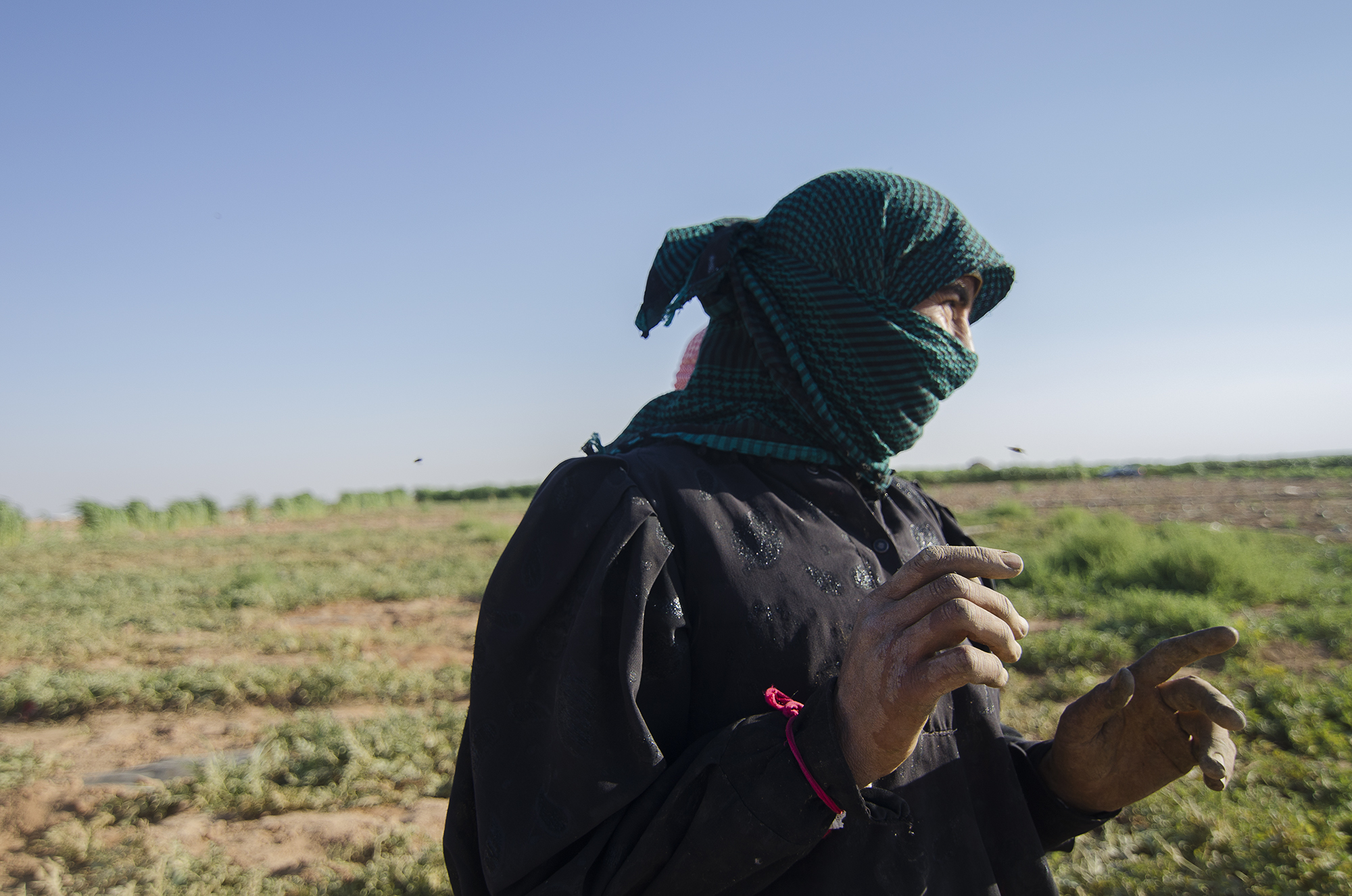 Syrian beduin refugees/ DO NOT USE/ RESTRICTED