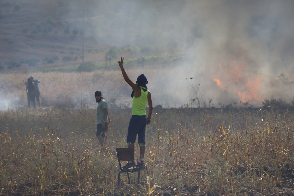 Palestine/ do not use/ restricted