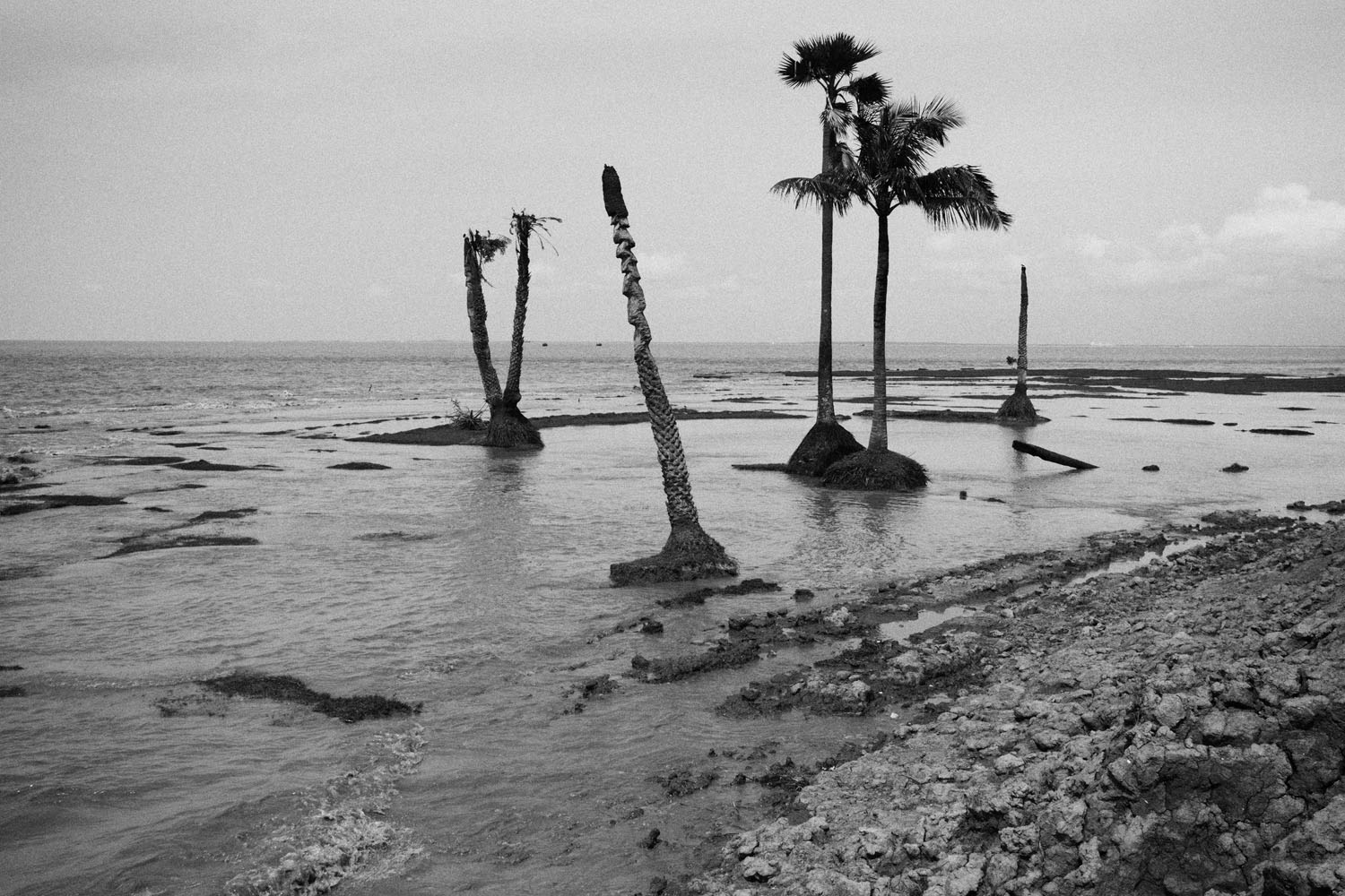 The Hungry Tide/ DO NOT USE/ RESTRICTED