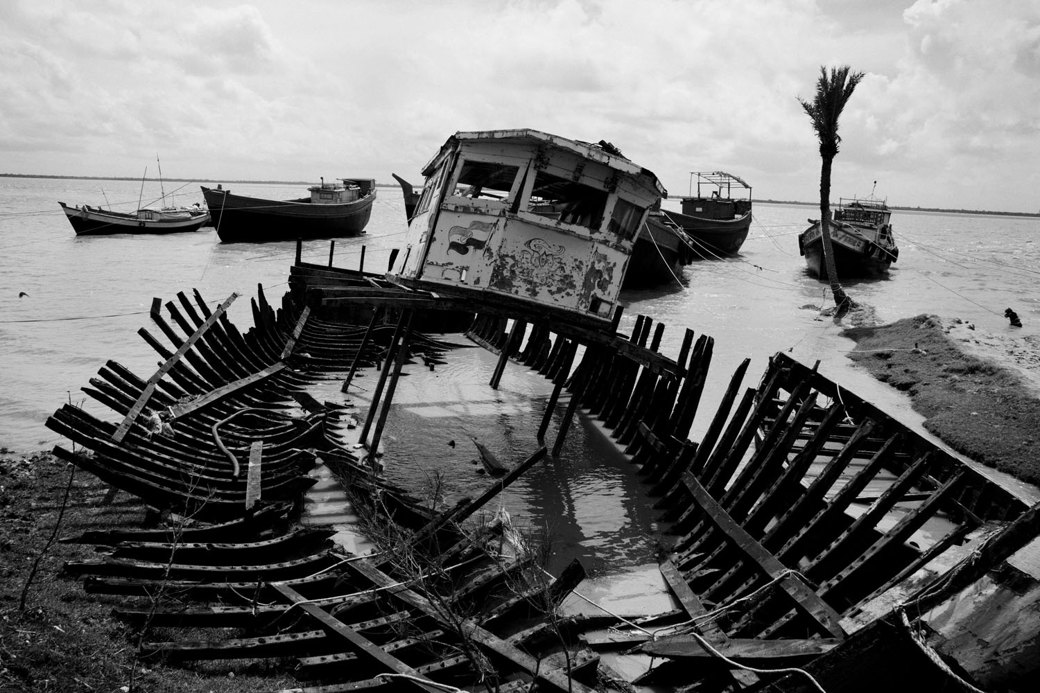 The Hungry Tide/ DO NOT USE/ RESTRICTED