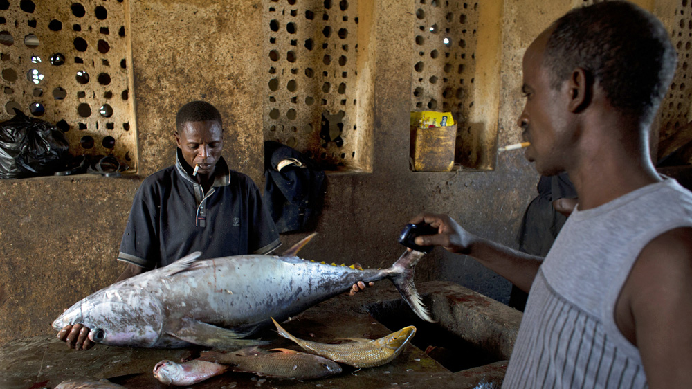 A man prepares to process a tuna at the Bosaso harbor in Puntland, Somalia [Karel Prinsloo/Adeso]