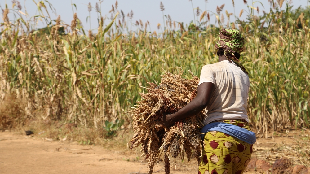 Agroecological techniques focus on helping women farmers who typically make up 43 percent of the agricultural labour force in developing nations [Arwa Aburawa/Al Jazeera]