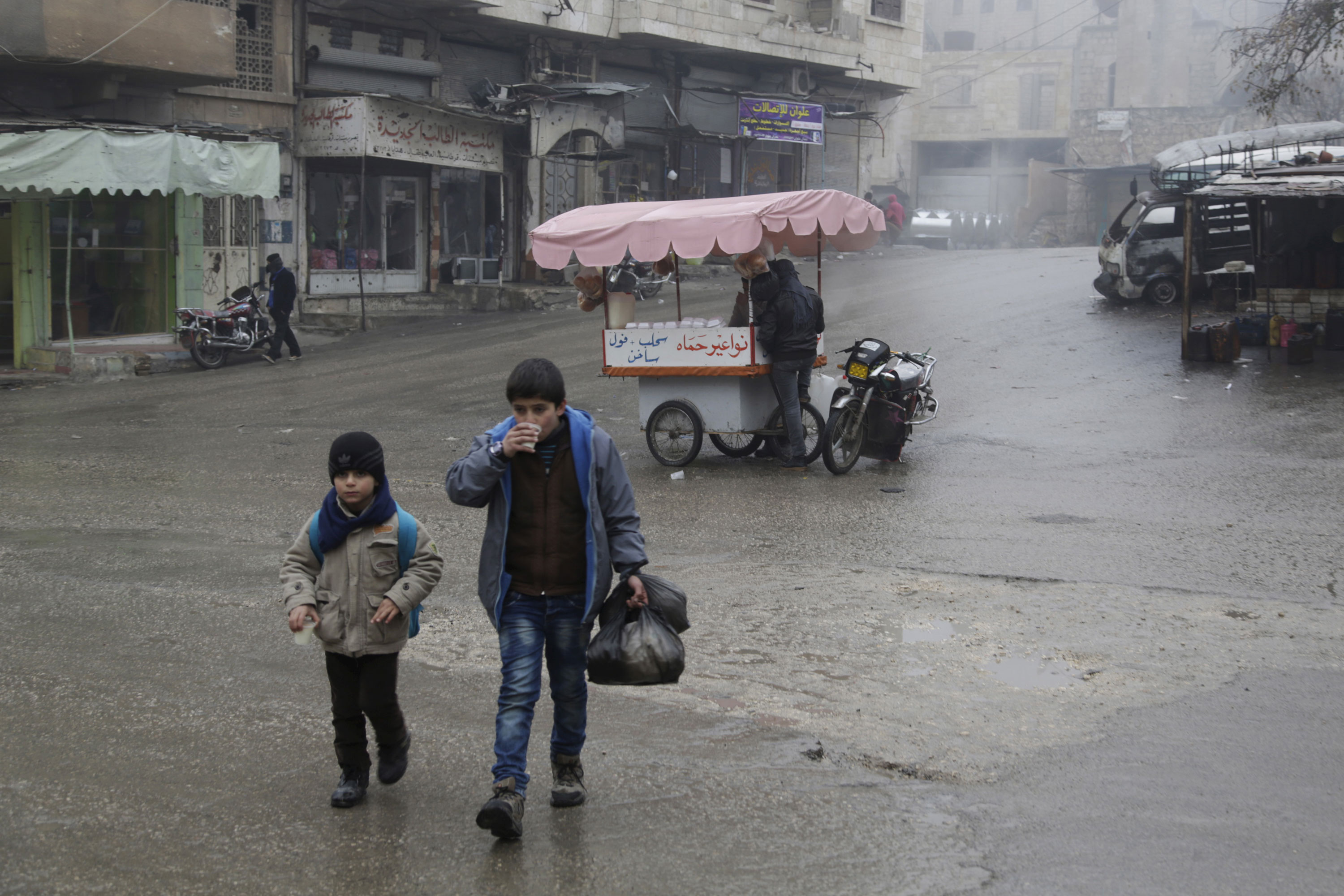 Syrian winter