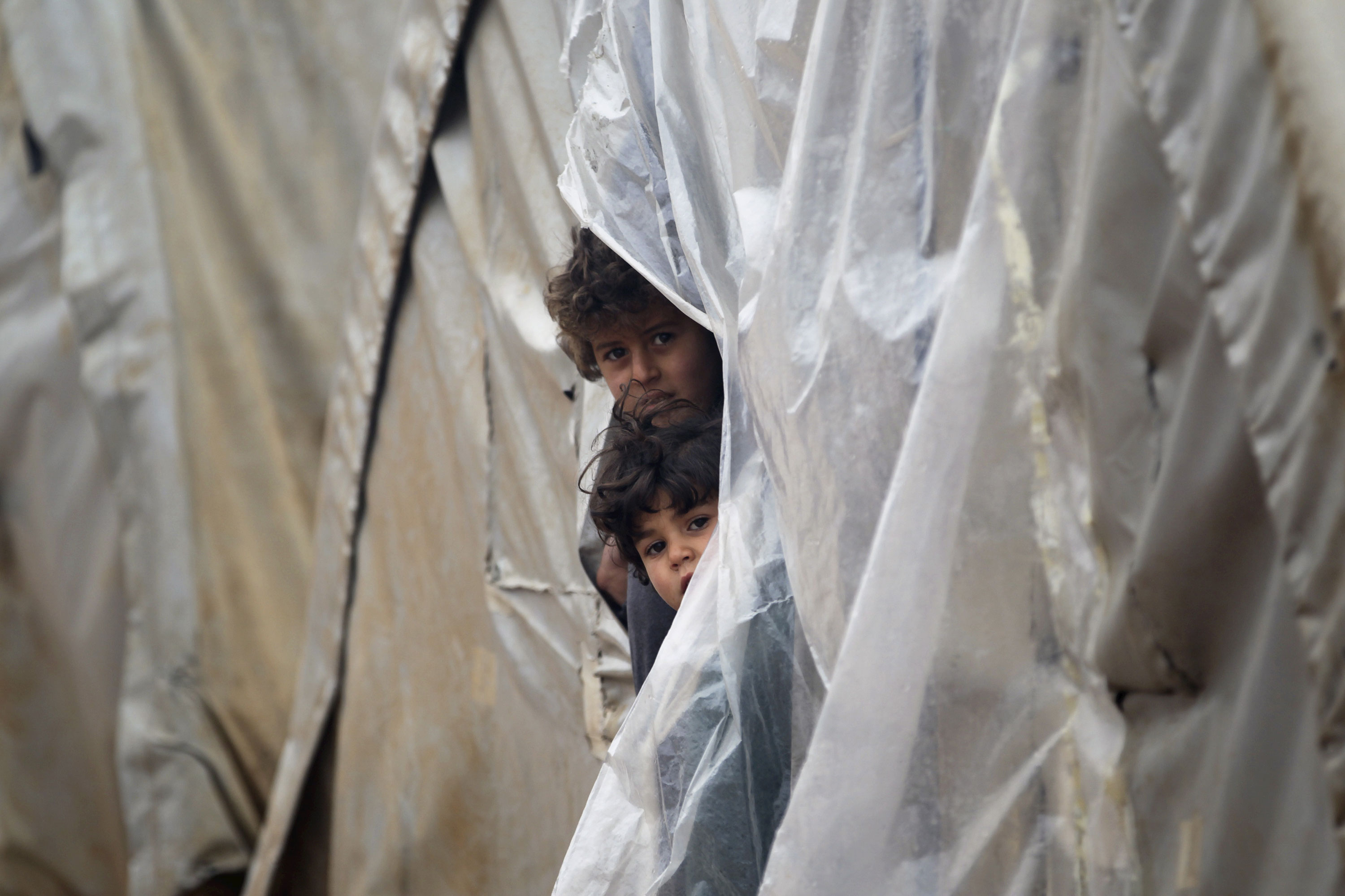 Syrian winter