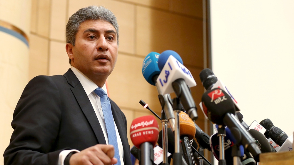 Egypt aviation minister