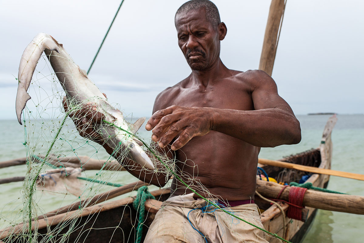 Fishing on the Edge/ Please Do Not Use