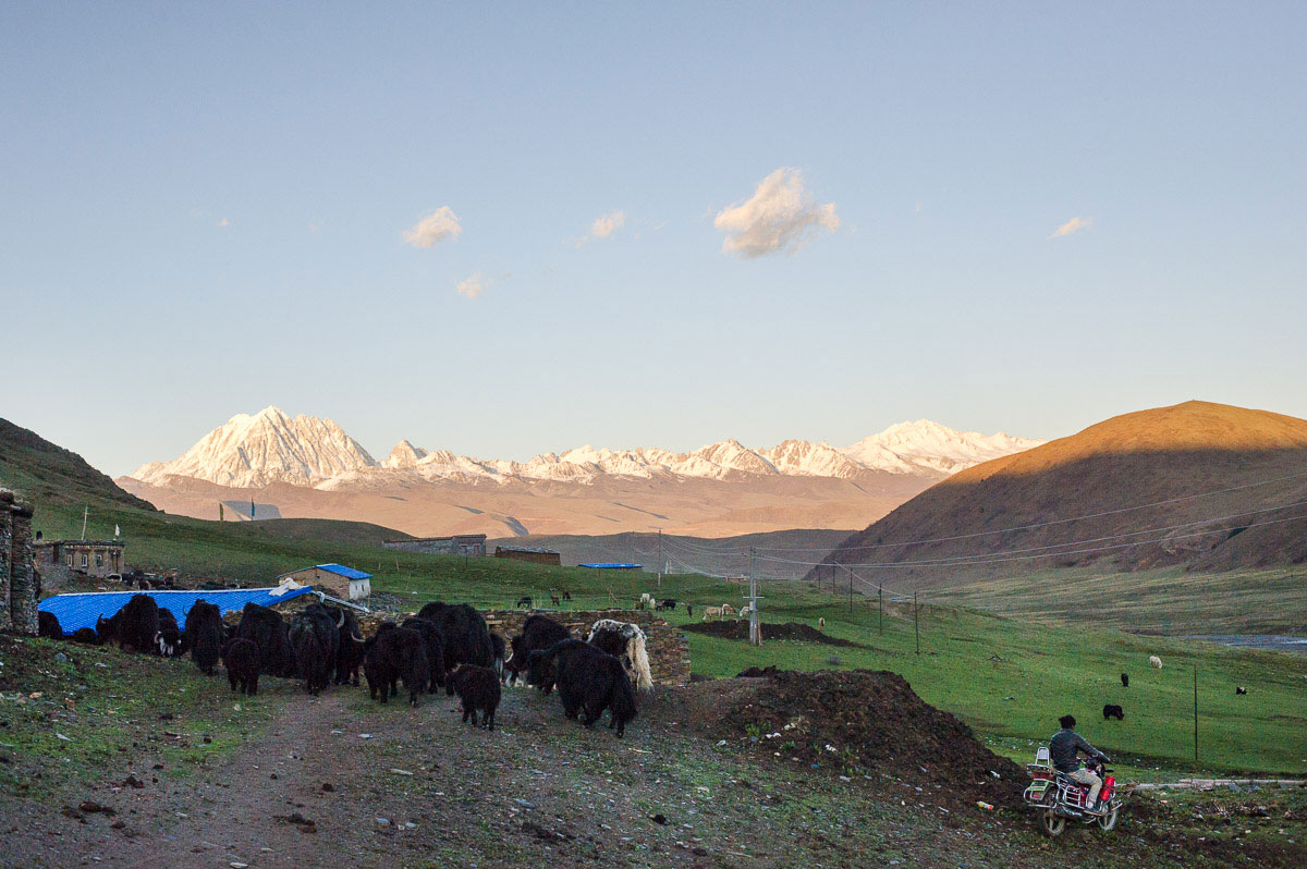 Tagong: On the Road to Tibet/ Please Do Not Use