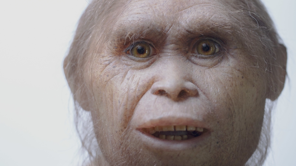 Hobbit ancestors