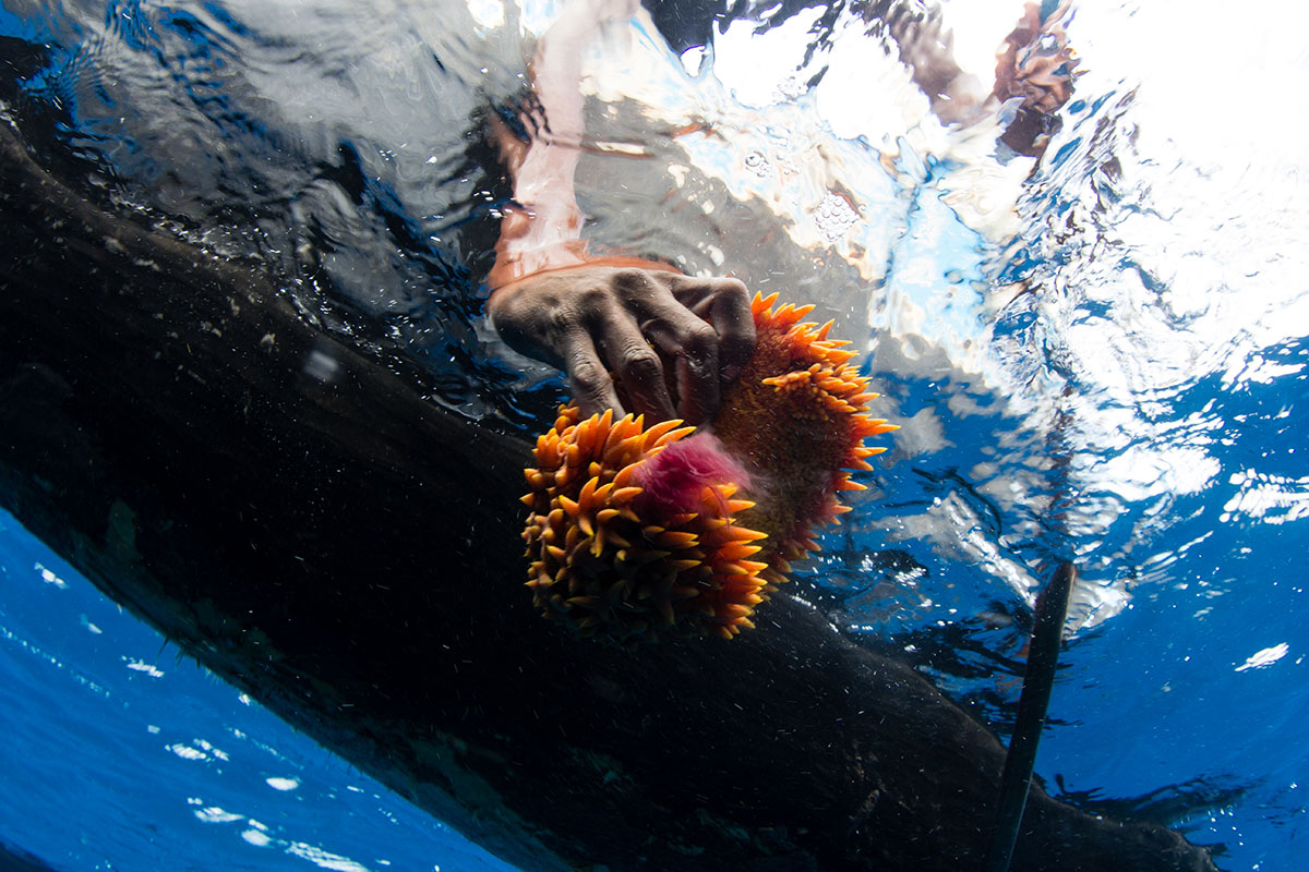 Fishing on the Edge/ Please Do Not Use