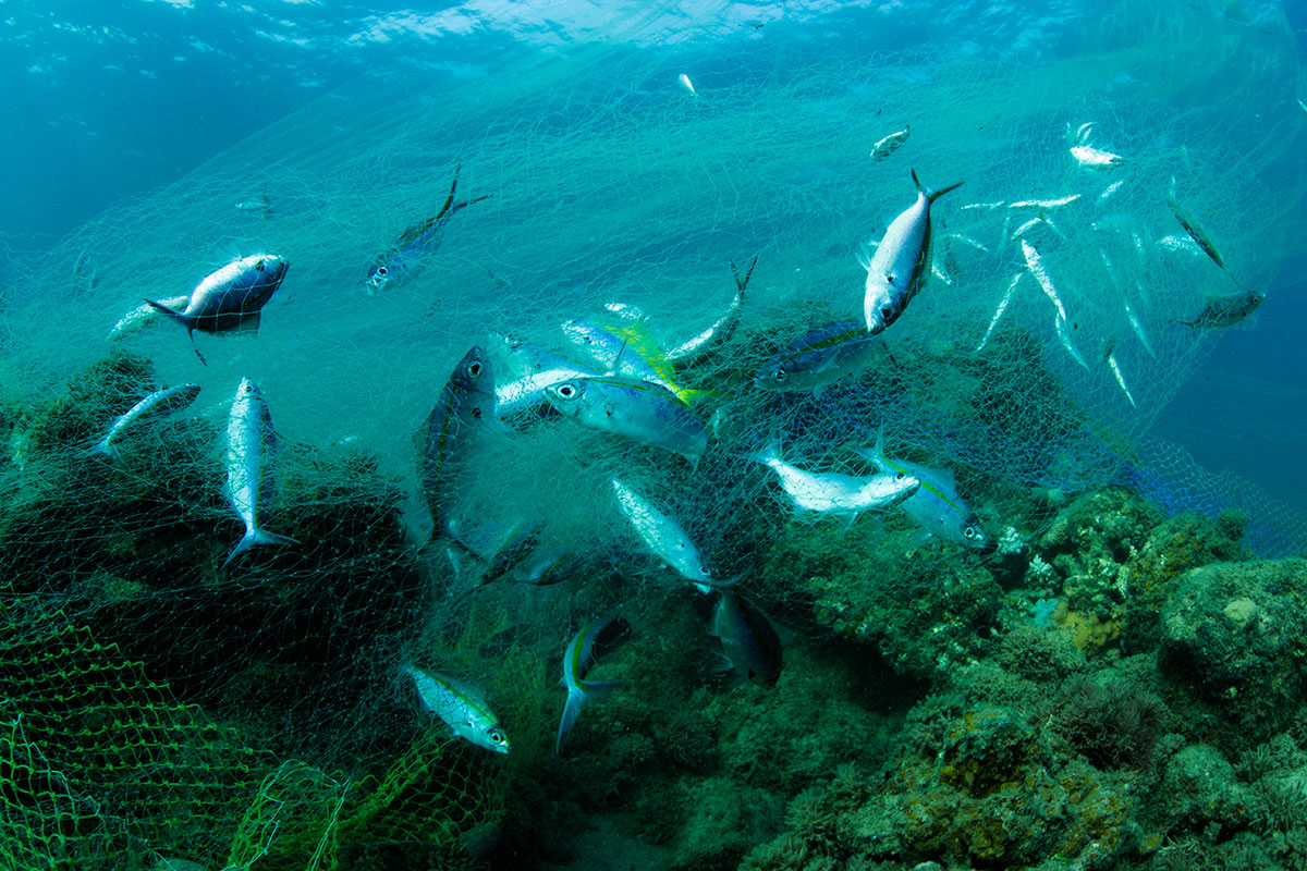 Fishing on the Edge/ Please Do Not Use