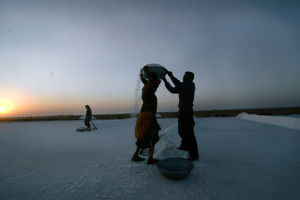 Farmers prefer to start the day in the pleasant early morning to avoid the scorching desert heat which soars up to 40C even in December. [Sugato Mukherjee/Al Jazeera]