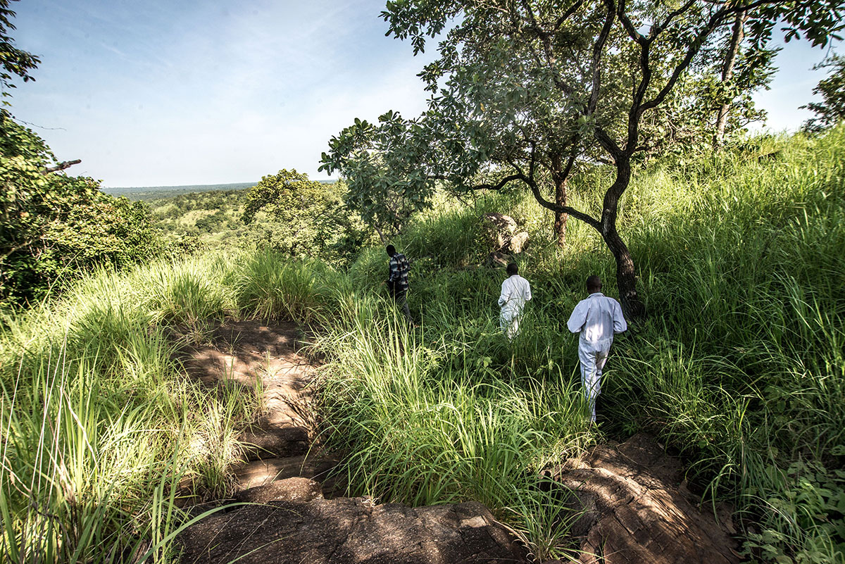 The fly catchers fighting river blindness