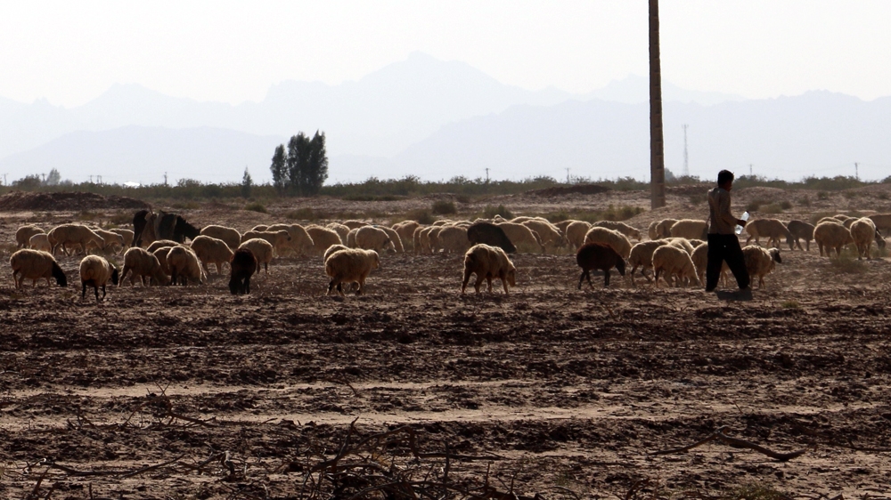 Iran's heavy investment in food security during decades of international sanctions has catapulted an already deteriorating and development-thirsty water management system over the edge [Al Jazeera]
