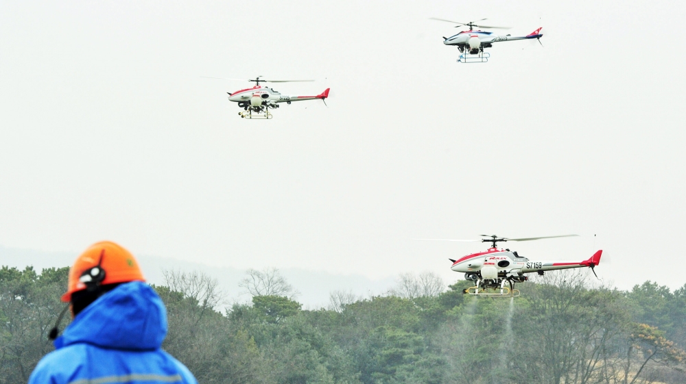Anti-bird flu measures