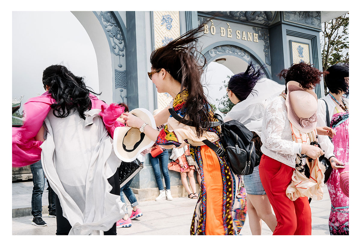 Charlie surfs on Lotus Flowers/ Please Do Not Use