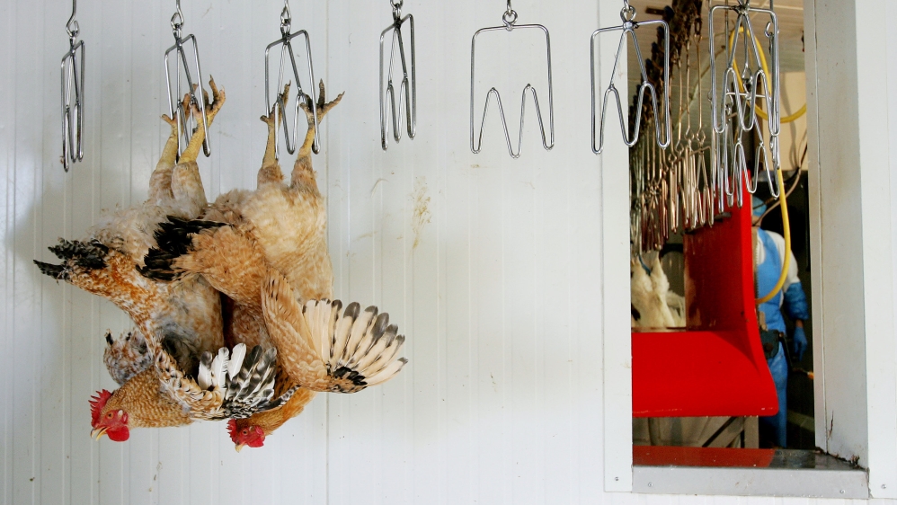 Francois Lenoir - Belgium