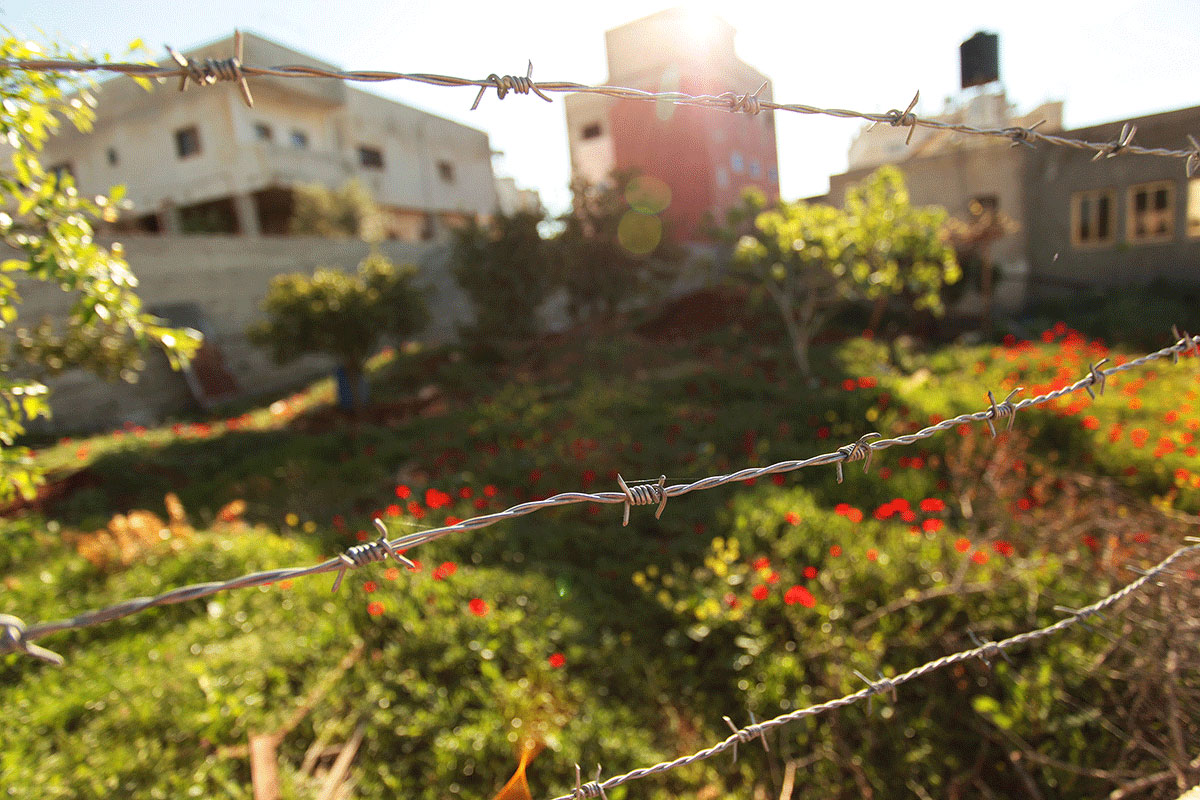 Walking a path of resistance/Please Do Not Use