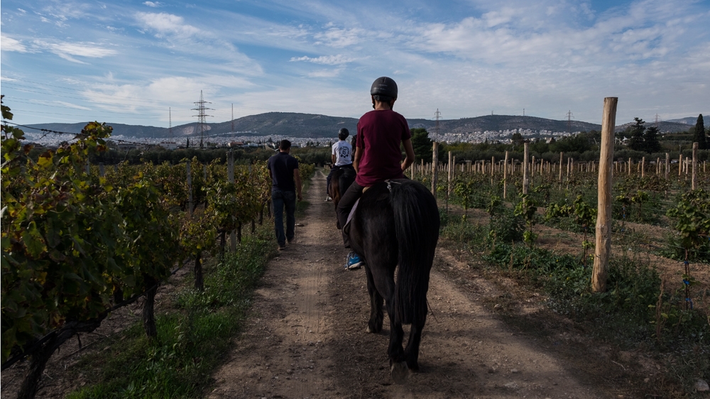 'Through the equine therapy, we've seen the difference, even from the first session' [Fahrinisa Oswald/Al Jazeera]