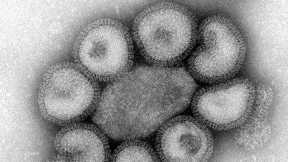 Flu Virus