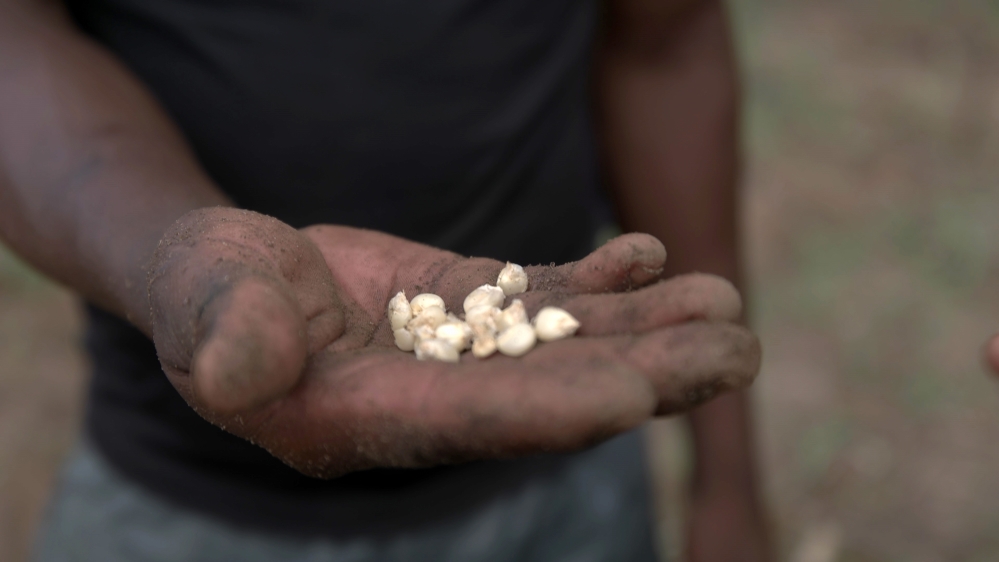 Mozambican authorities say the project will benefit small, medium and big famers [Enrico Parenti/Al Jazeera]