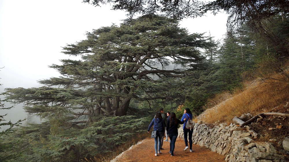 Al Chouf Cedar Nature Reserve