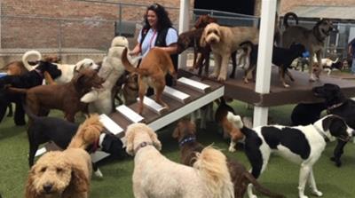 Ruby Madrigal owns and operates K9 University Chicago in Garfield Park, an area of Chicago that lacks investment from private lenders