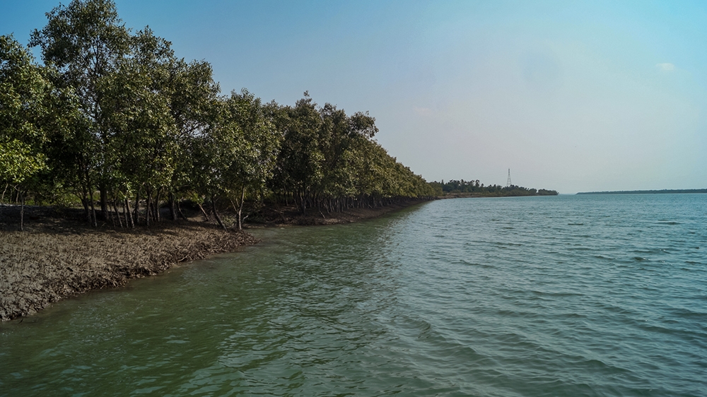 The West Bengal government claims to have trained more than 100,000 women since 2009 in vocations such as embroidery, tailoring, fishing and beekeeping