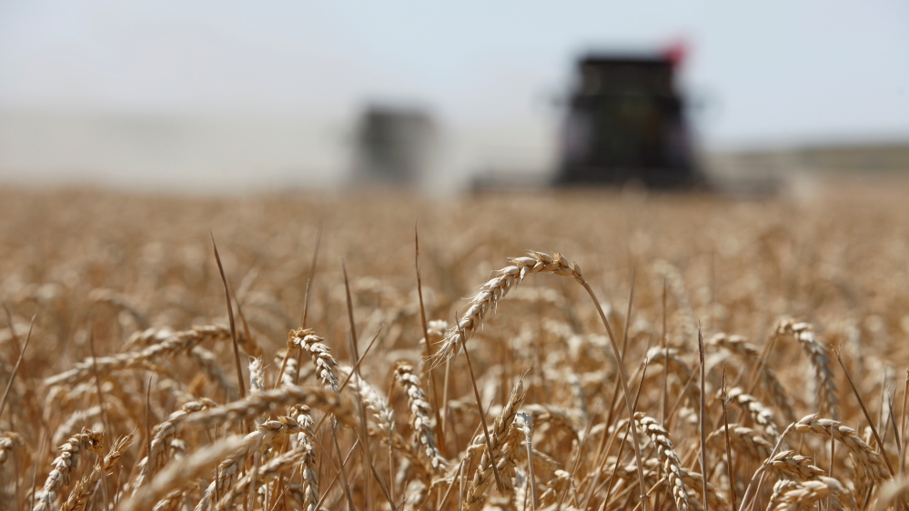 Russia supplies wheat mainly to Africa and the Middle East