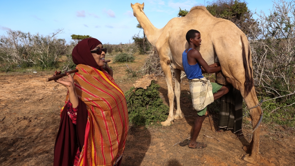Zamzam says she wants more women to get involved in the country’s booming livestock sector