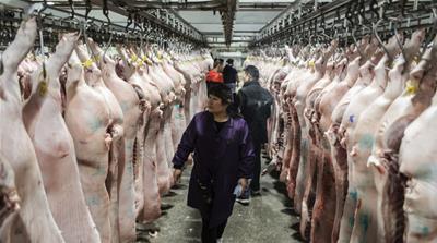 An outbreak of African swine fever has ravaged China’s supply of pork meat, leading to a surge the price of a staple meat for many Chinese consumers