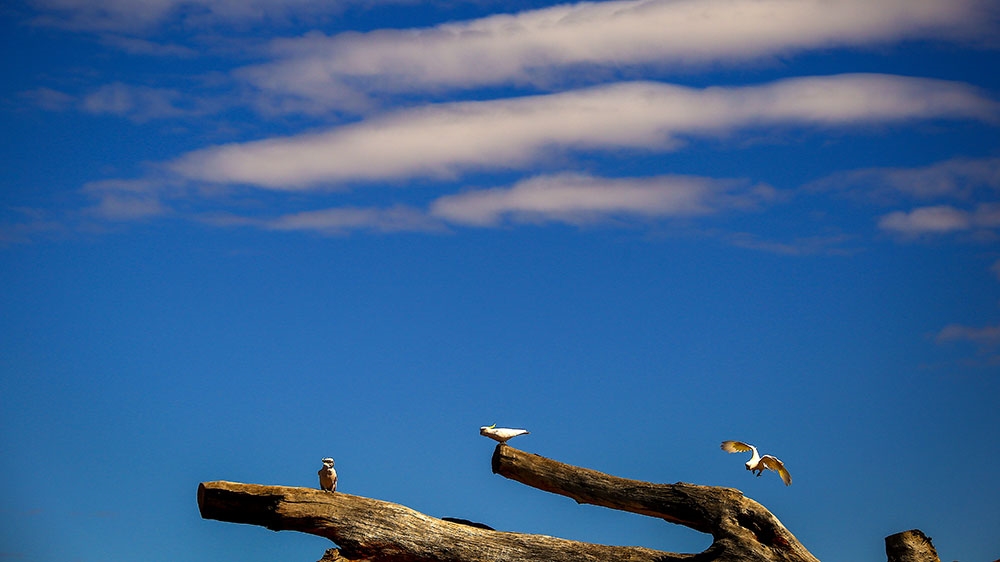 Hottest September on record for Perth in Australia
