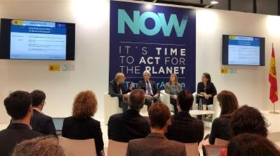 Spain’s Secretary of State for Energy Jose Dominguez Abascal sought insights from three climate experts at major financial institutions