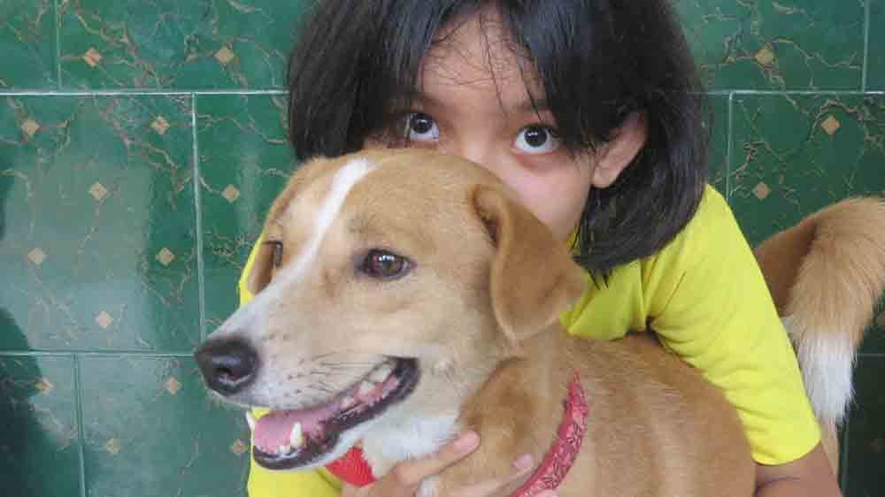 Animal welfare groups try to convince Indonesians to adopt strays and are now using apps to connect people and pets