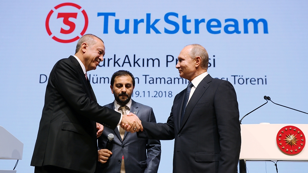 Russian President Vladimir Putin shakes hands with his Turkish counterpart Recep Tayyip Erdogan during a ceremony to mark the completion of the sea part of the TurkStream gas pipeline, in Istanbul, Turkey in November 2018