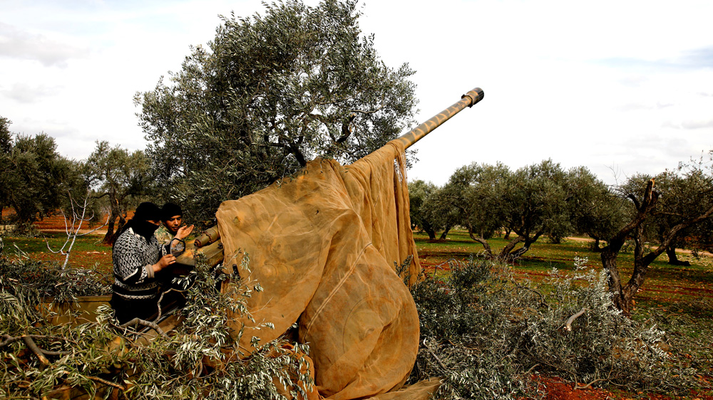 Idlib
