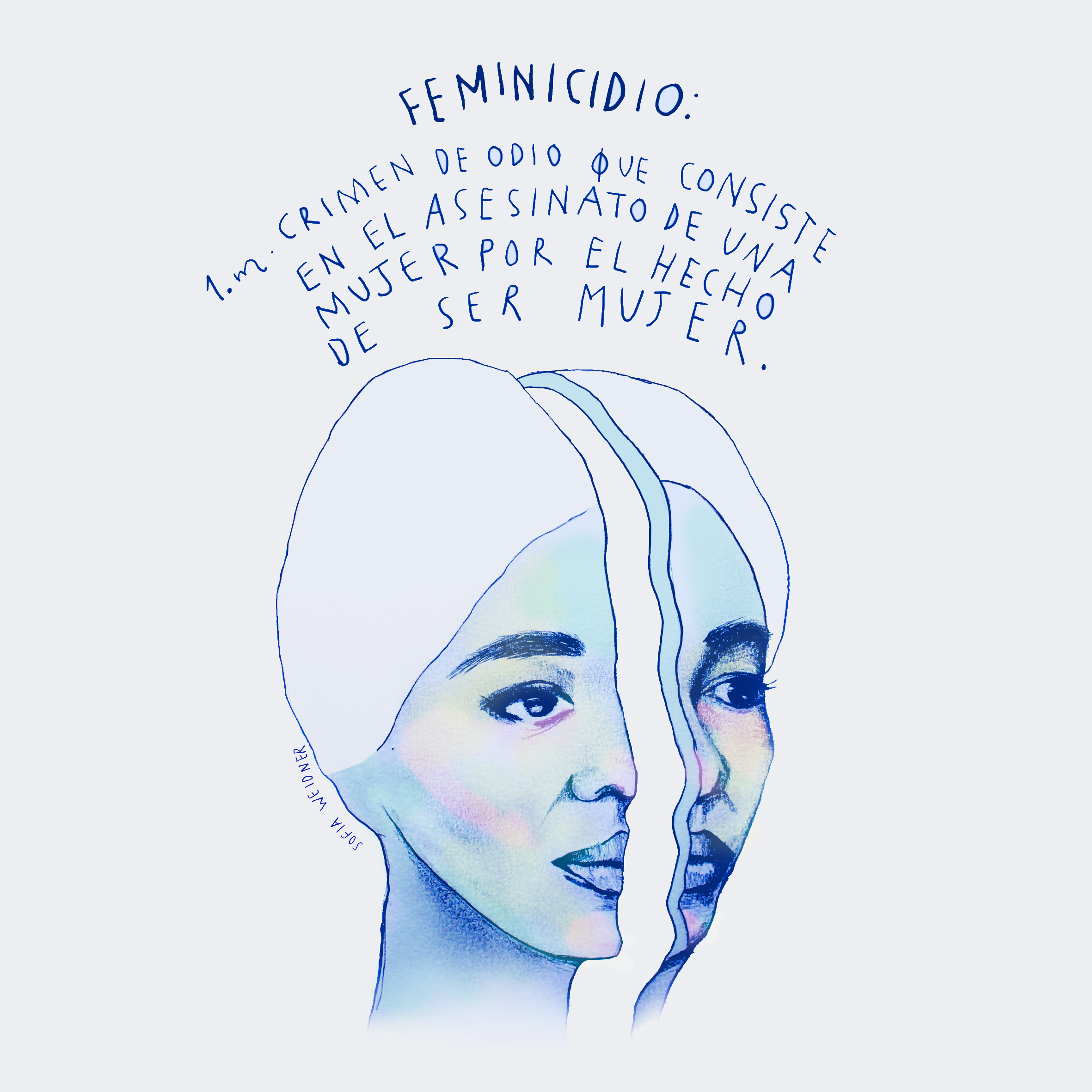 Translation: ‘Femicides: Hate crime that involves the murder of a woman because she is a woman’.