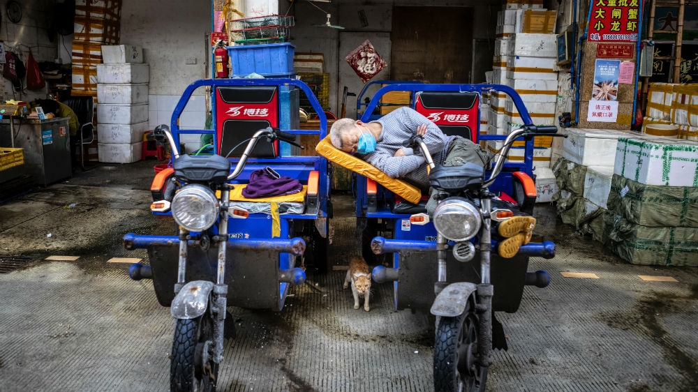Markets across China, including this one in Guangzhou, were closed down to curb the spread of the coronavirus. The Guangzhou South China Seafood Market was previously well known for exotic wildlife animals such as crocodiles