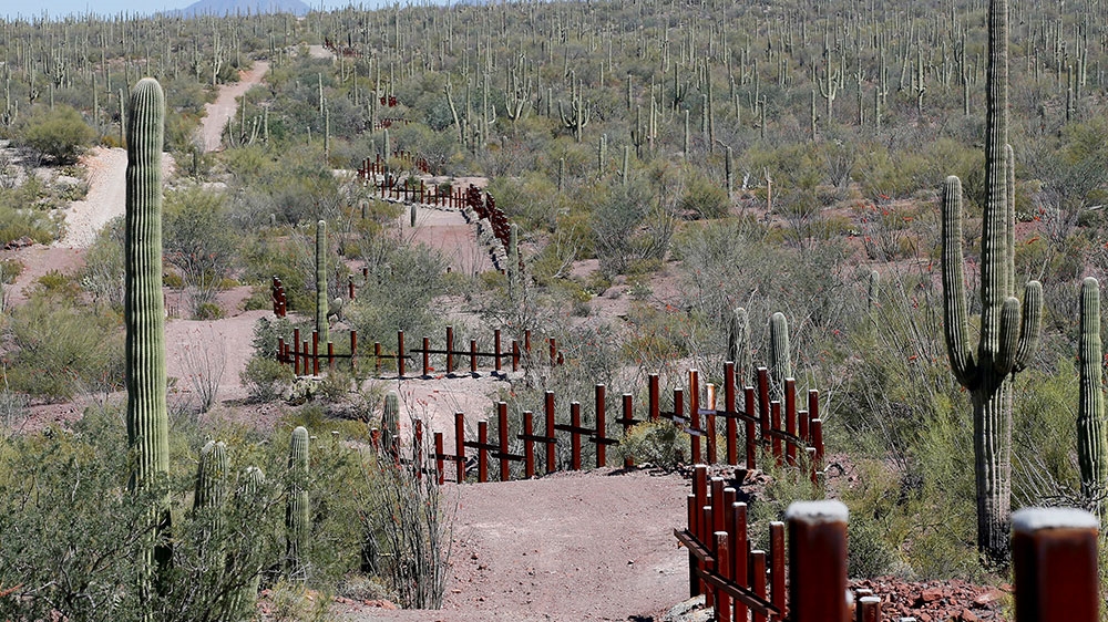The vehicle barrier on the US- Mexico border weaves around Saguaro cactus in the Sonoran desert on the Tohono O’odham reservation in Chukut Kuk, Arizona