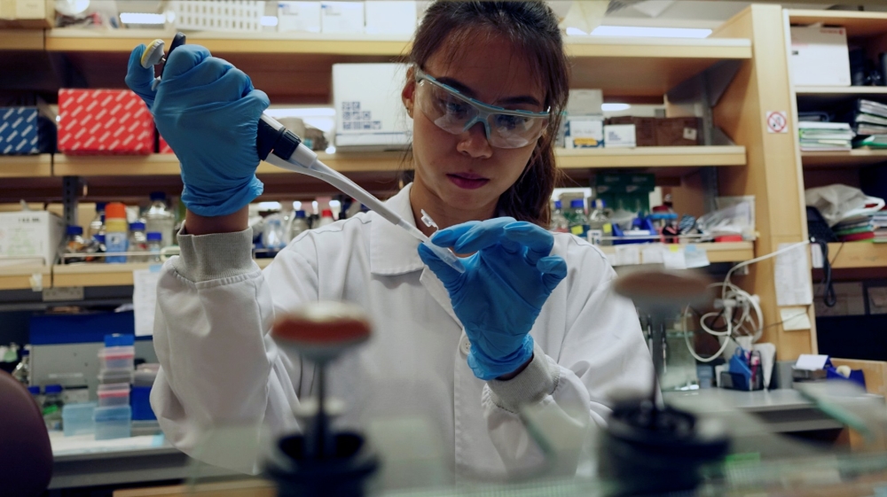 A researcher working in a lab at the Duke-NUS Medical School, which is developing a way to track genetic changes that speed testing of vaccines against the coronavirus disease (COVID-19), in Singapore