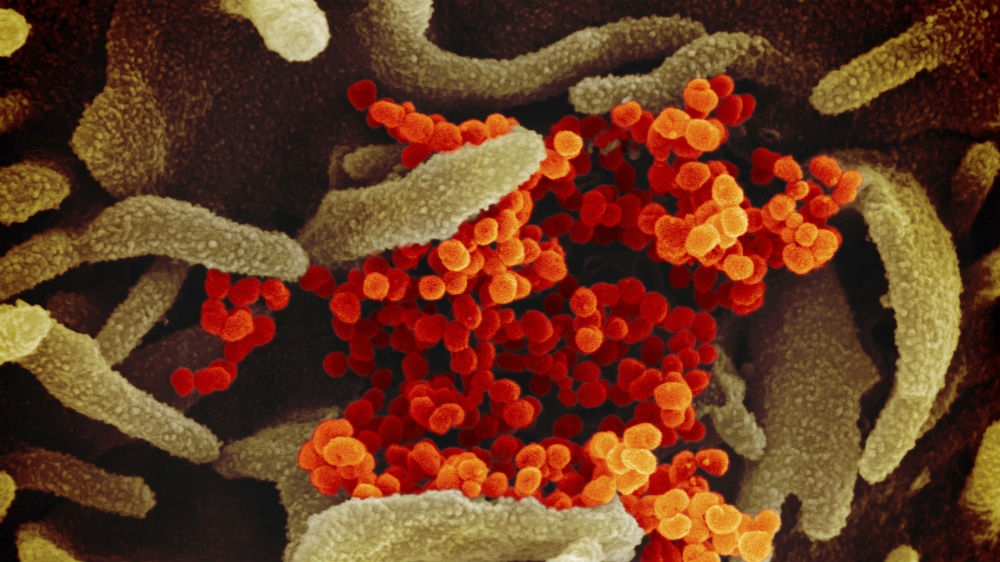 coronavirus microscope