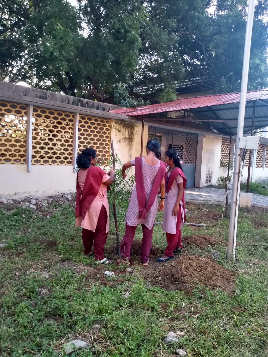 Tree walks in Chennai