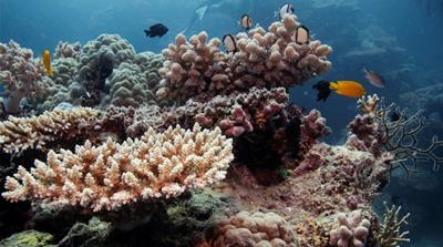Australia Great Barrier Reef
