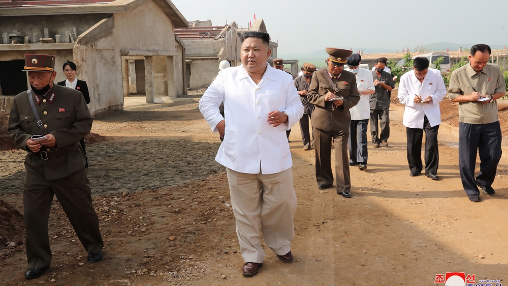 North Korea chicken