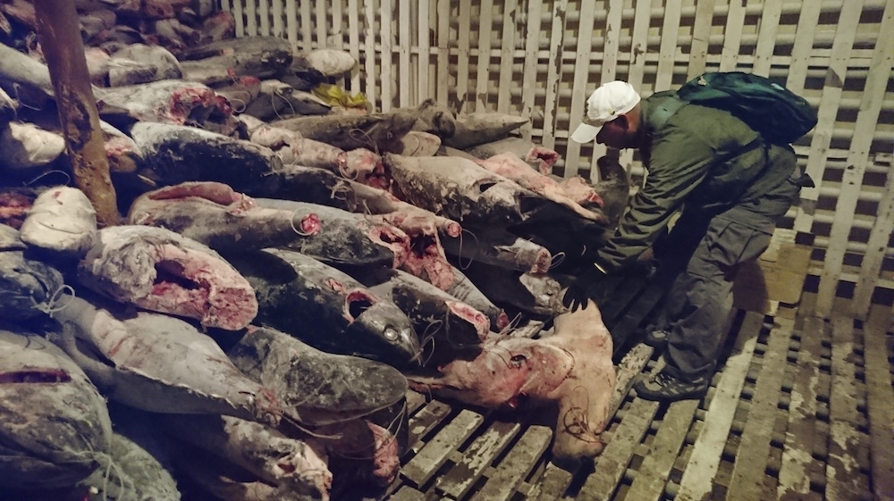 ecuador china fishing 