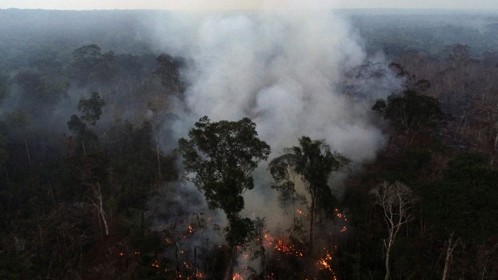 The Brazilian government has faced global pressure to do more to protect the world’s largest rainforest