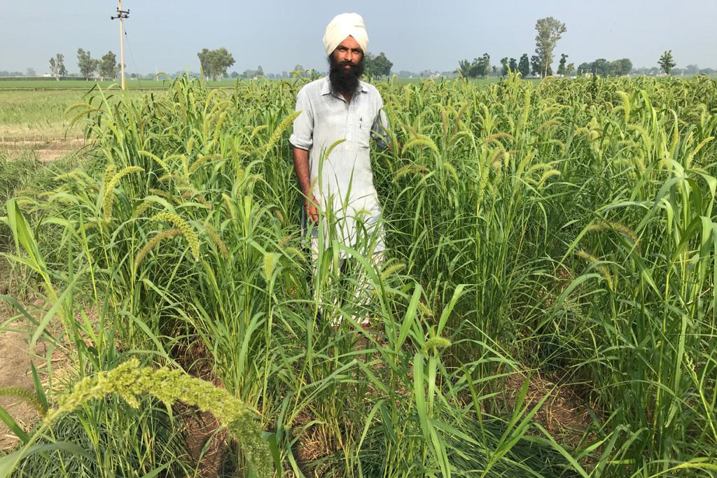 [Photo courtesy Rashpinder Singh Grewal]
