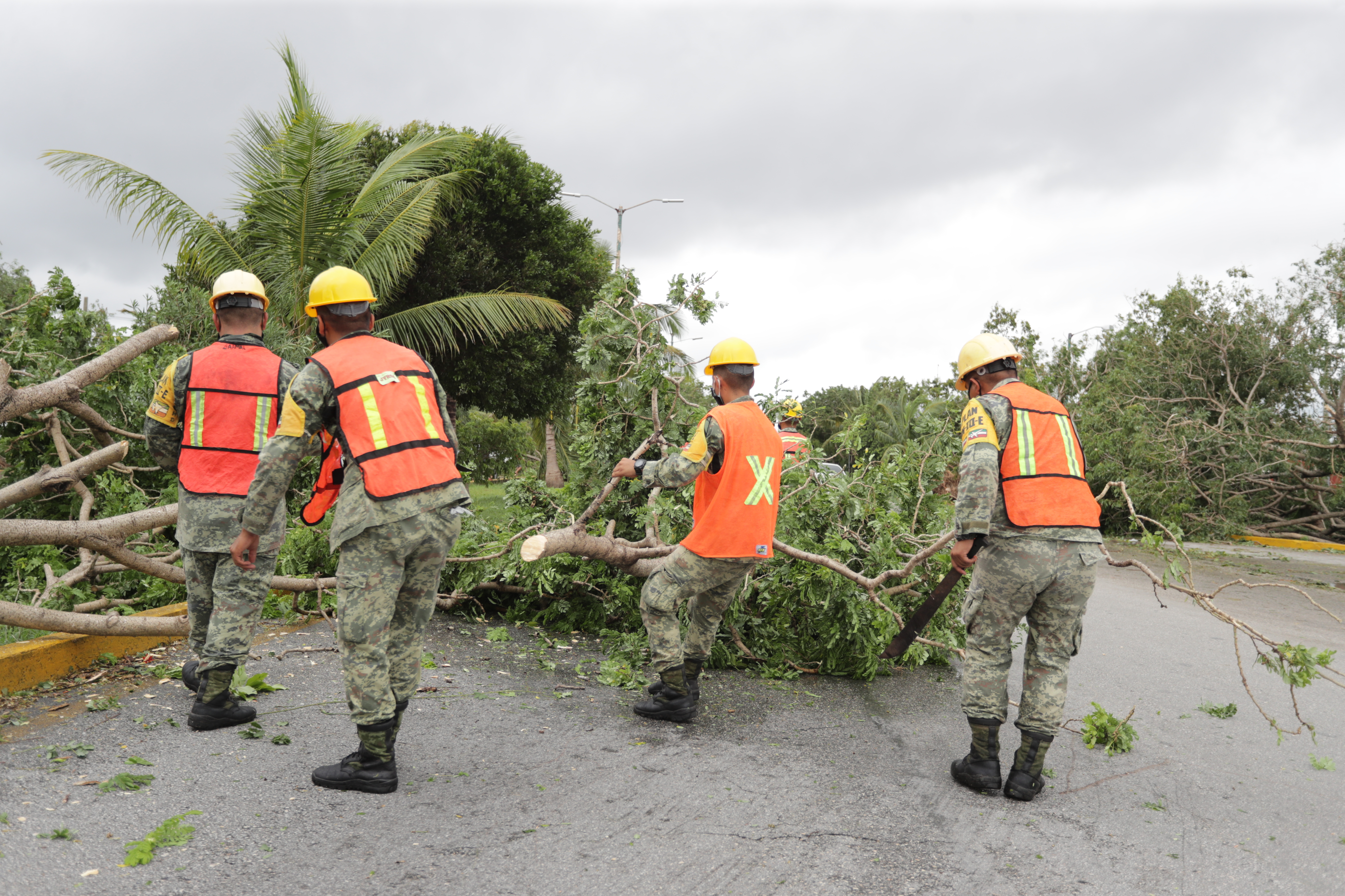 Hurricane Delta, then a category 3 on the Saffir-Simpson scale, brought down trees when it hit Cancun, Mexico